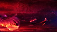 /album/fuerza-bruta/fuerza1-jpg/