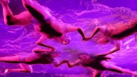 /album/fuerza-bruta/a44590-1537655808519-4626244-n-jpg/
