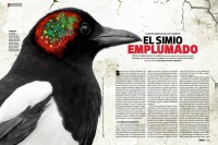 /album/fotos-para-la-revista-muy-interesante/a10153787-10203393346261548-572767223-n-jpg/